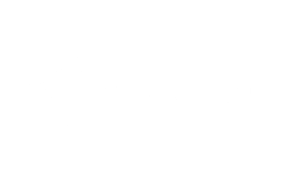 Paccari Online